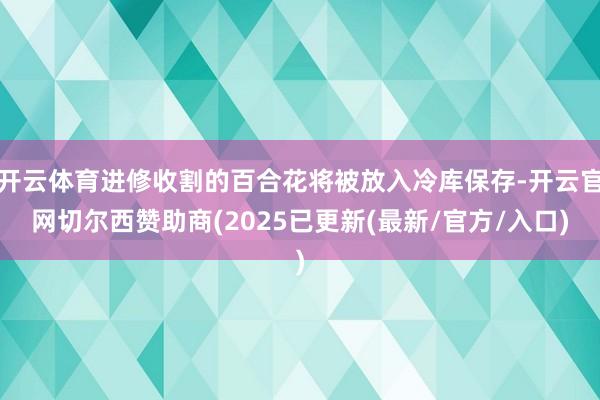 开云体育进修收割的百合花将被放入冷库保存-开云官网切尔西赞助商(2025已更新(最新/官方/入口)