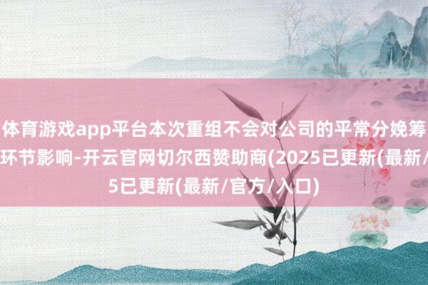 体育游戏app平台本次重组不会对公司的平常分娩筹画作为组成环节影响-开云官网切尔西赞助商(2025已更新(最新/官方/入口)