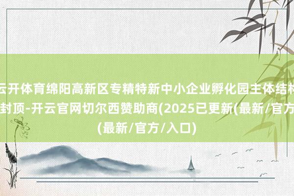 云开体育绵阳高新区专精特新中小企业孵化园主体结构已全面封顶-开云官网切尔西赞助商(2025已更新(最新/官方/入口)