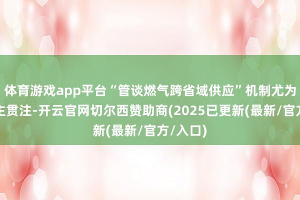 体育游戏app平台“管谈燃气跨省域供应”机制尤为引东谈主贯注-开云官网切尔西赞助商(2025已更新(最新/官方/入口)
