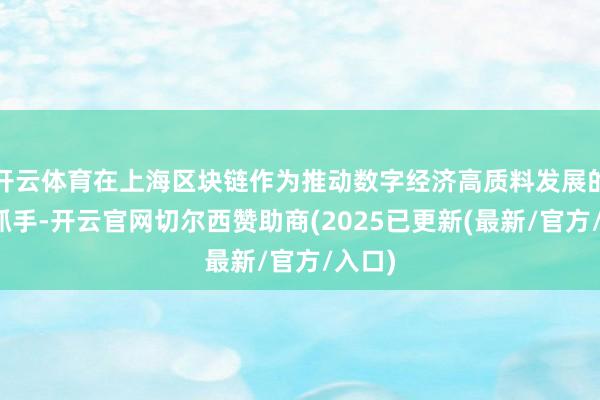 开云体育在上海区块链作为推动数字经济高质料发展的要紧抓手-开云官网切尔西赞助商(2025已更新(最新/官方/入口)