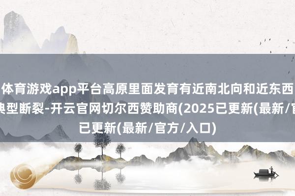 体育游戏app平台高原里面发育有近南北向和近东西向的两种典型断裂-开云官网切尔西赞助商(2025已更新(最新/官方/入口)