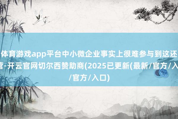 体育游戏app平台中小微企业事实上很难参与到这还是营-开云官网切尔西赞助商(2025已更新(最新/官方/入口)
