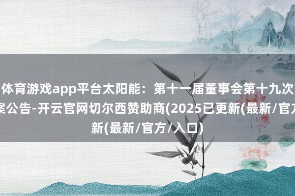 体育游戏app平台太阳能：第十一届董事会第十九次会议方案公告-开云官网切尔西赞助商(2025已更新(最新/官方/入口)