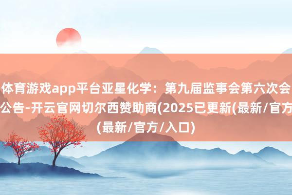 体育游戏app平台亚星化学：第九届监事会第六次会议决策公告-开云官网切尔西赞助商(2025已更新(最新/官方/入口)