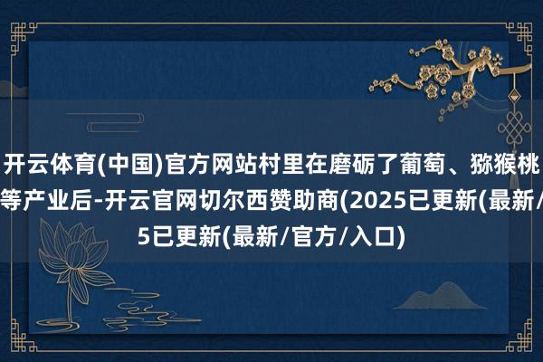 开云体育(中国)官方网站村里在磨砺了葡萄、猕猴桃、水稻制种等产业后-开云官网切尔西赞助商(2025已更新(最新/官方/入口)